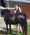 Nadine